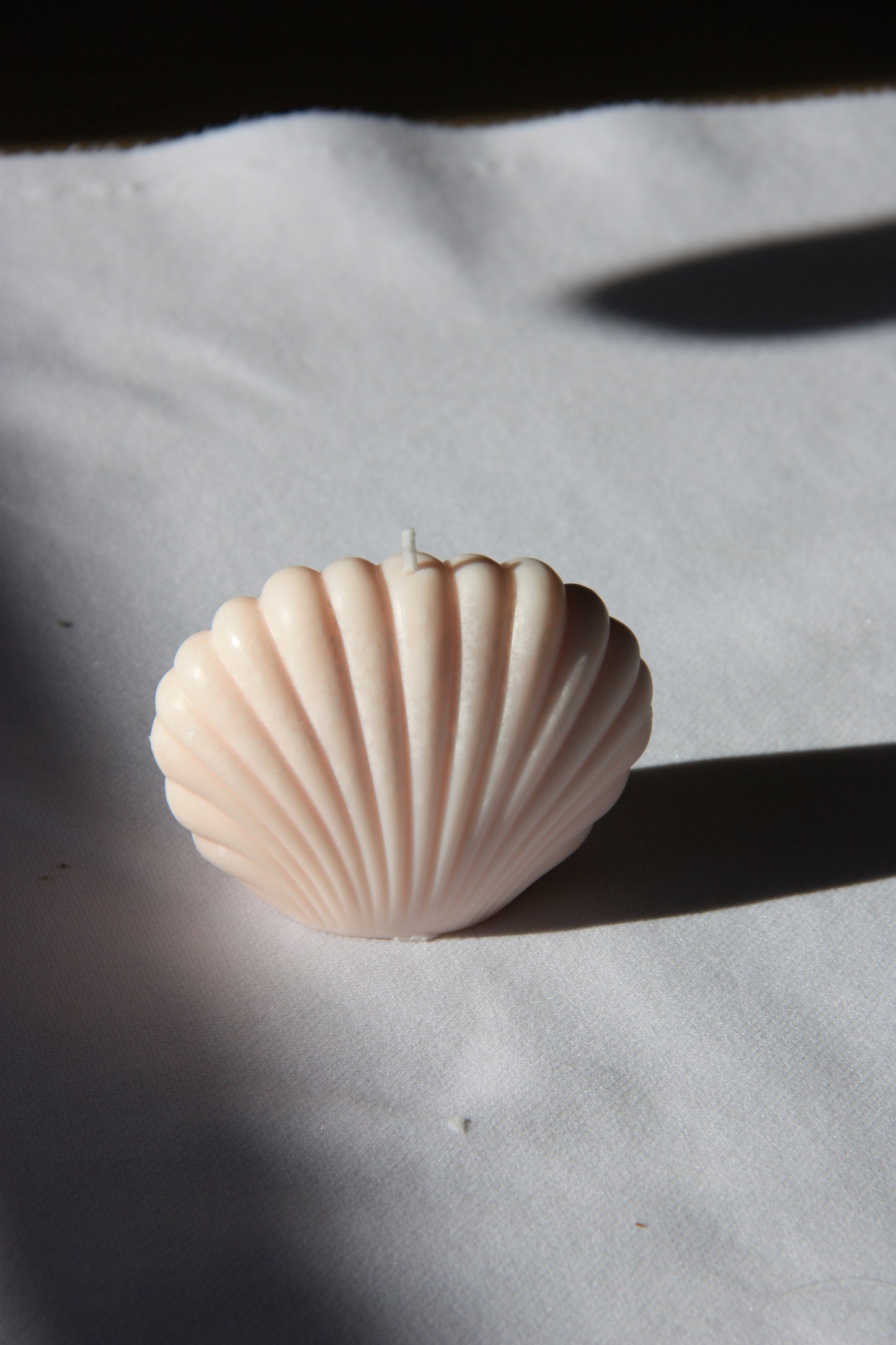 Shell large