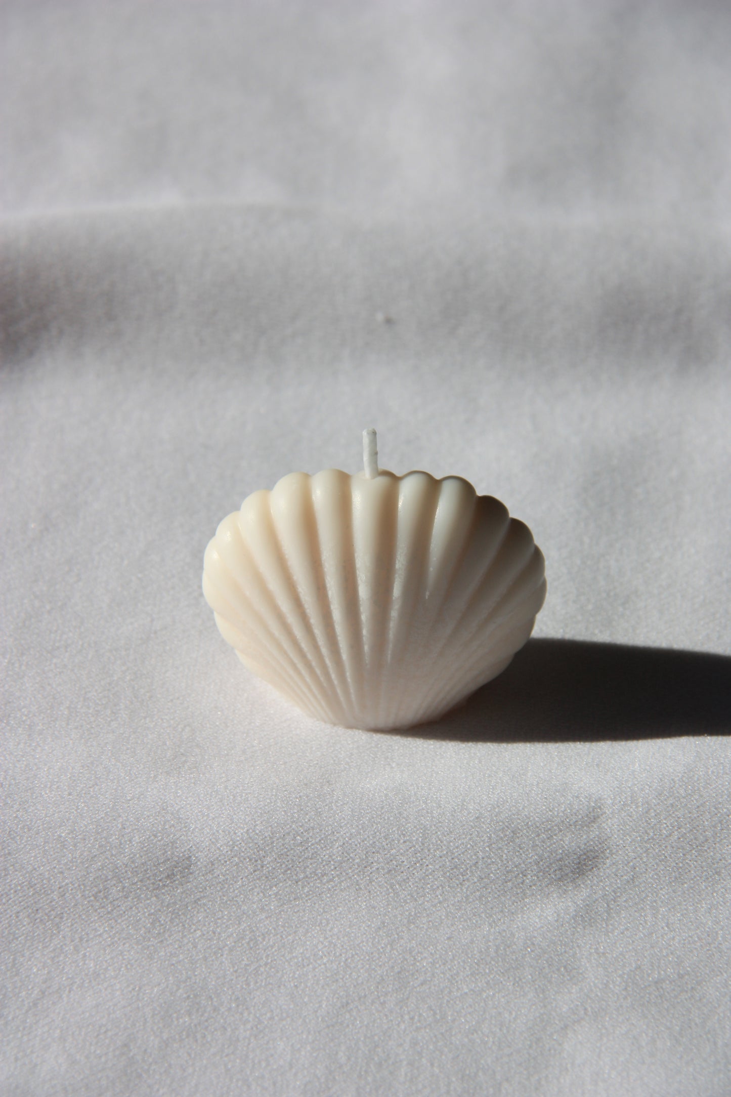 Shell-mini