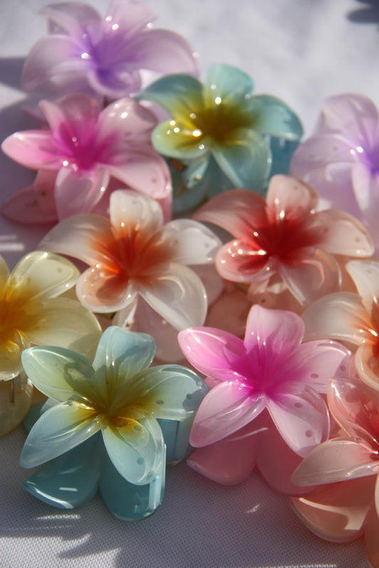 Haarclip met Hawaï bloem