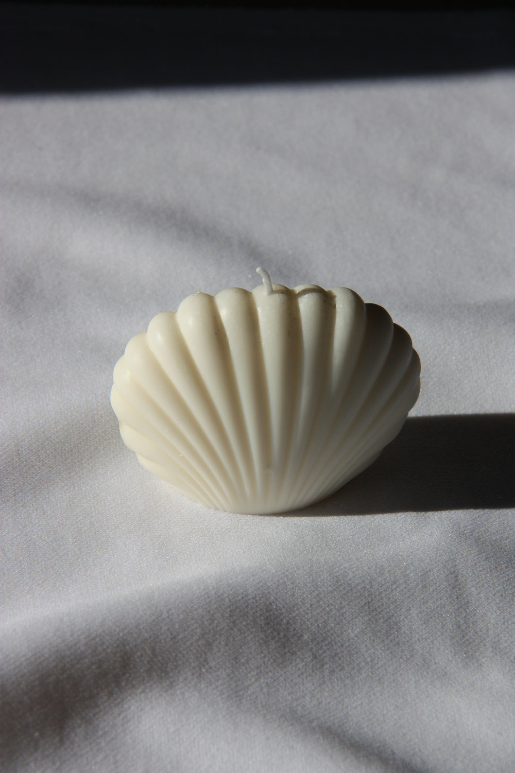 Shell large