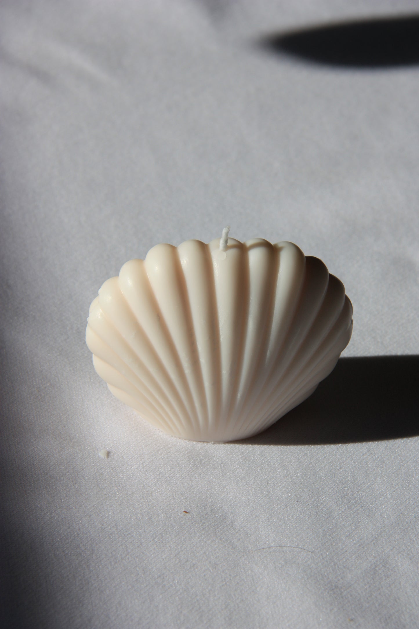 Shell large