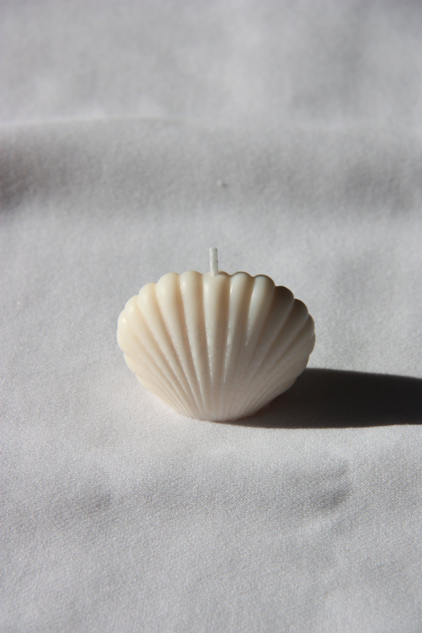 Shell mini