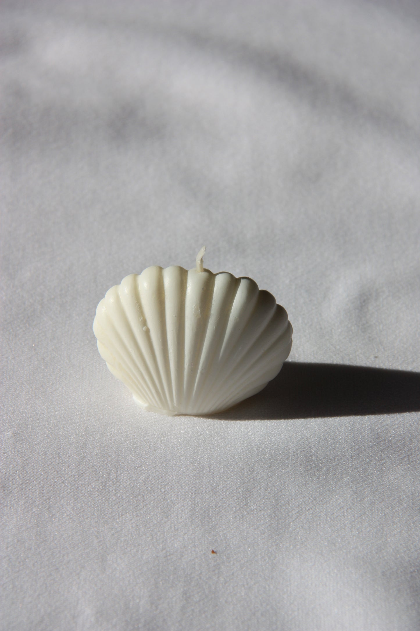 Shell-mini